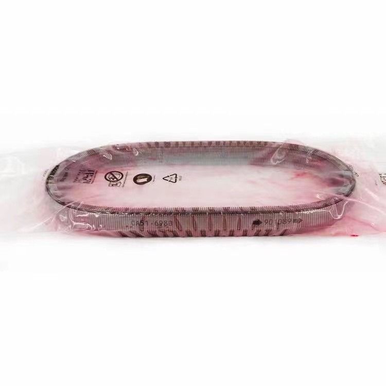 2KG JF017E RE0F10D Gearbox Belt Chain for TEANA X Trail QASHQAI 901074 901089 901096
